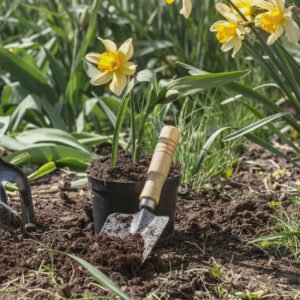 Diseño Completo de Jardín