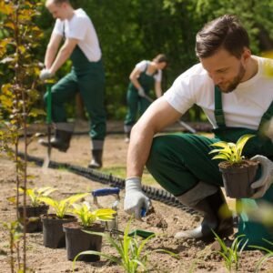 Instalación de Sistemas de Riego Automático